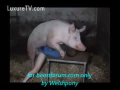 At the farm, a pig bestially screwed a man.